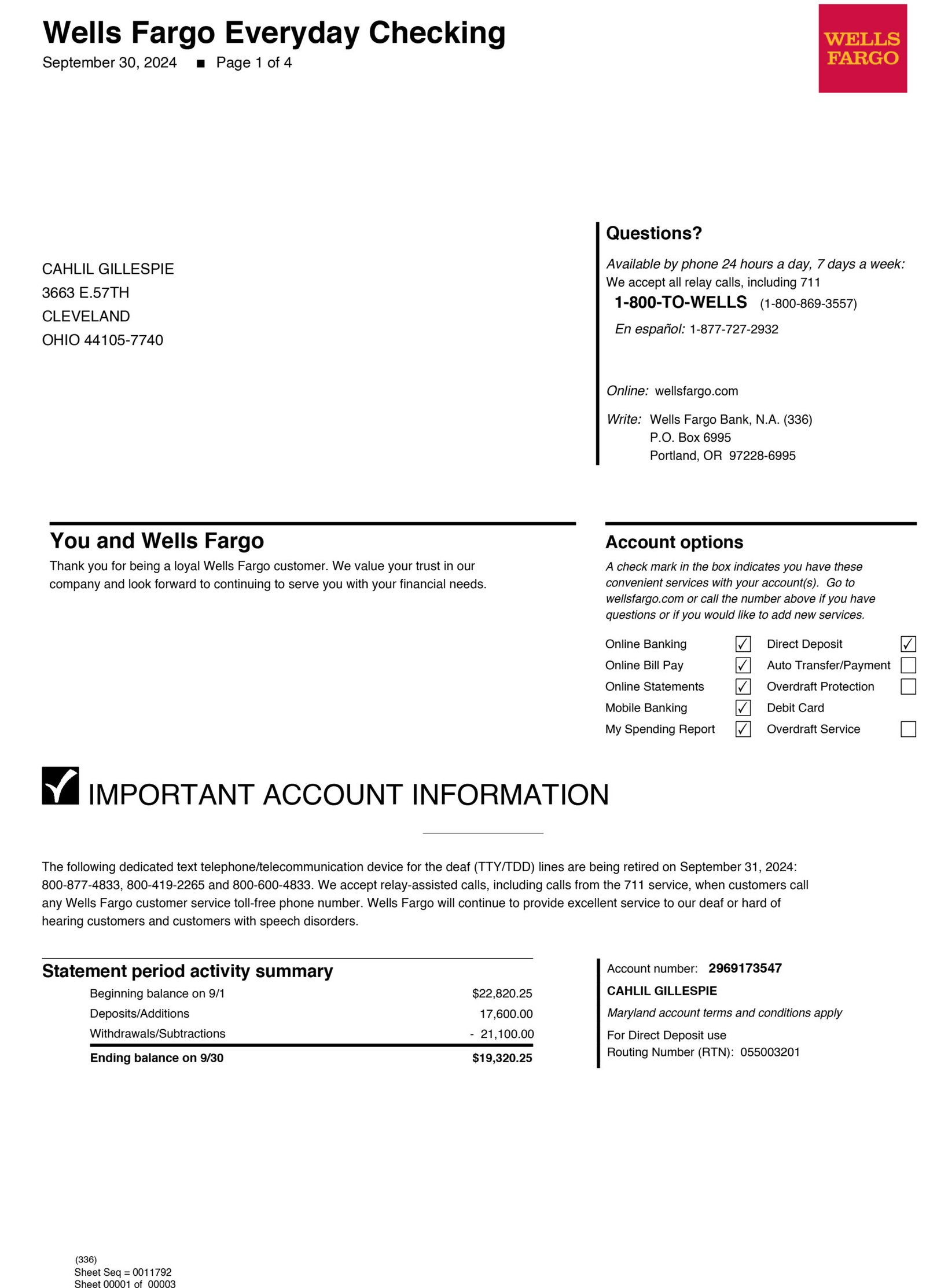 Wells Fargo Bank Statement - 3nur.com