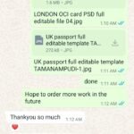 UK Passport editing