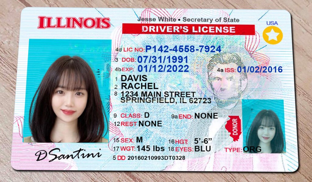 Sample USA Illinois Driving License Template