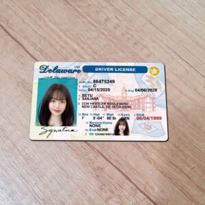 Editable Delaware Driving License PSD Template Download