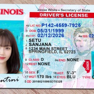 Editable Illinois Driving License PSD Template Download