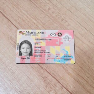 Editable Maryland Driver License PSD Template