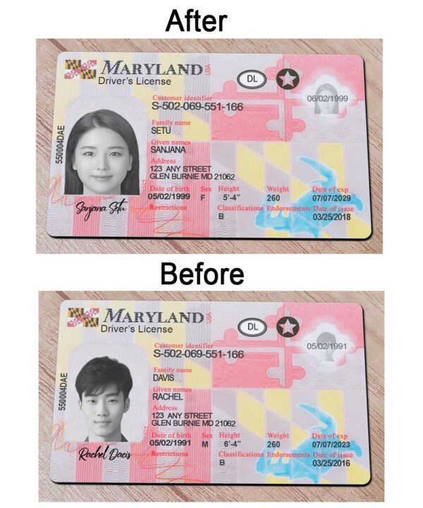 Editable Maryland Driver License PSD Template