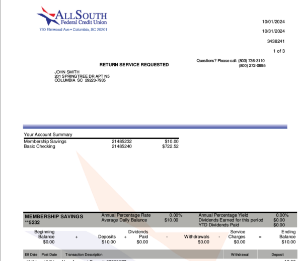 US AllSouth Federal Credit Union Bank statement template