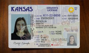 kansas drivers license template 2025