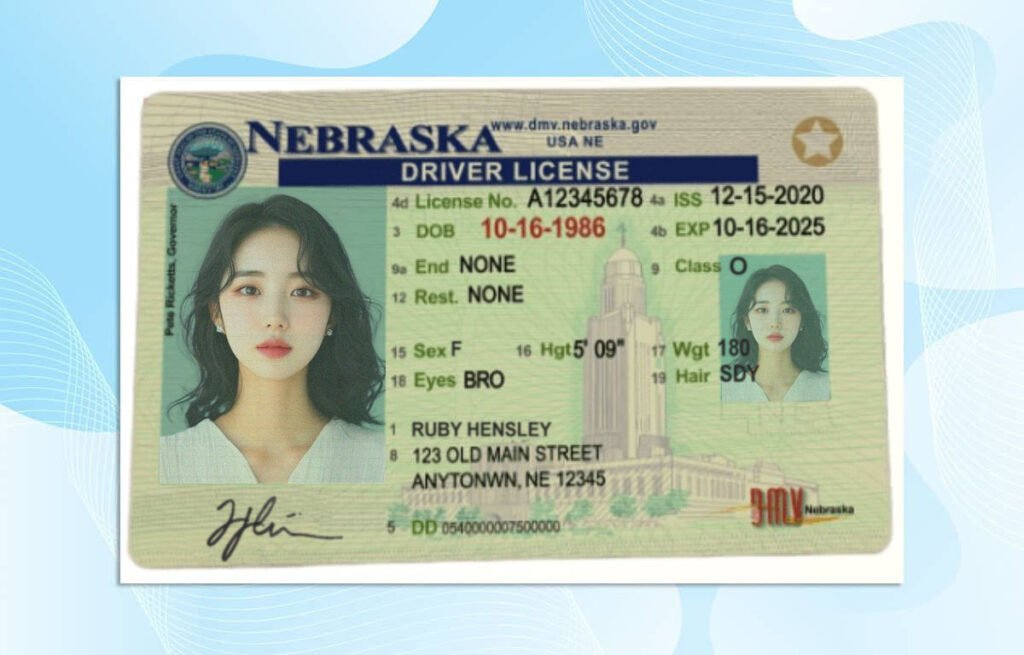 Nebraska Driver License Template - PSD Stores
