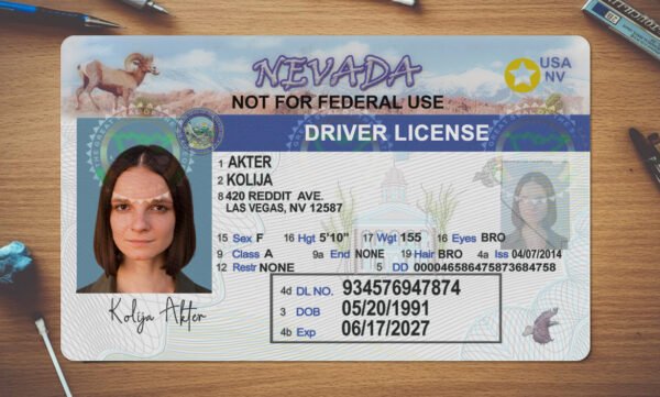 Nevada Drivers License Template 2025 PSD - Image 4