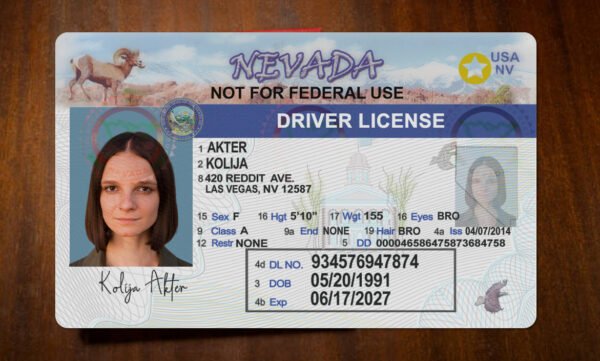 Nevada Drivers License Template 2025 PSD