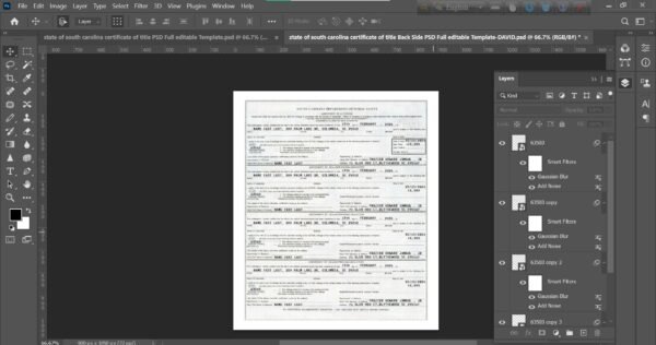 South Carolina Certificate of Title Template 2025