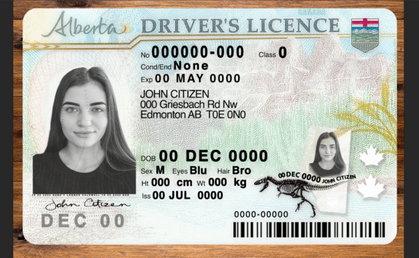 Alberta DL PSD Template 2025 – Editable & Instant Download - Image 5