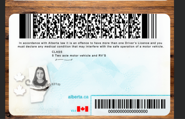 Alberta DL PSD Template 2025 – Editable & Instant Download - Image 4