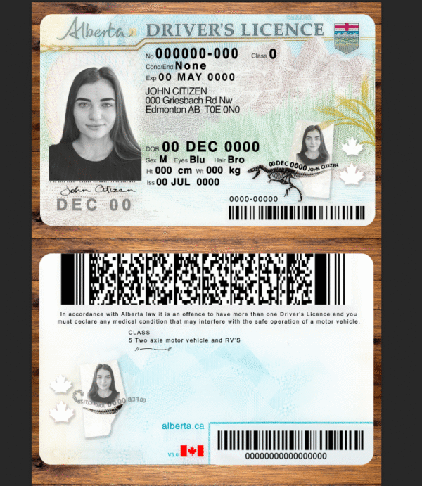 Alberta DL PSD Template 2025 – Editable & Instant Download - Image 2