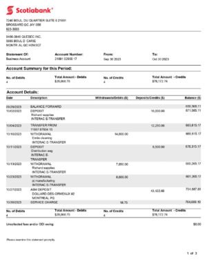 Scotiabank Statement Download & Editing Service