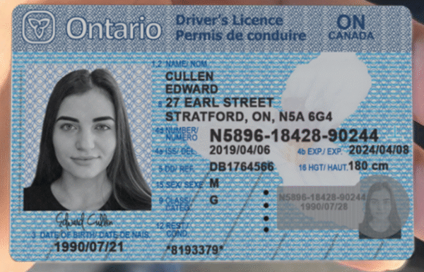 Ontario DL PSD Template 2025 – Editable & Instant Download - Image 5