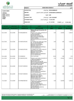 Dubai Islamic Bank Statement Download and Editing Service
