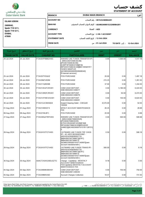 Dubai Islamic Bank Statement Download and Editing Service - Image 3