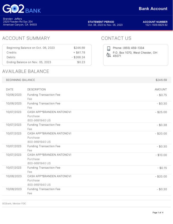 GO2 Bank Statement PDF Download & Editing Service – Fast & Customizable