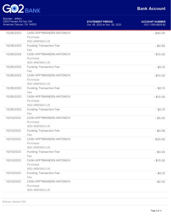 GO2 Bank Statement PDF Download & Editing Service – Fast & Customizable - Image 2