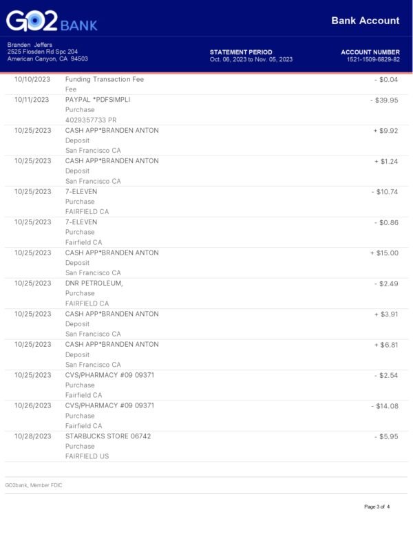 GO2 Bank Statement PDF Download & Editing Service – Fast & Customizable - Image 3