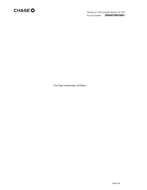 chase bank statement download and editing service - Image 6