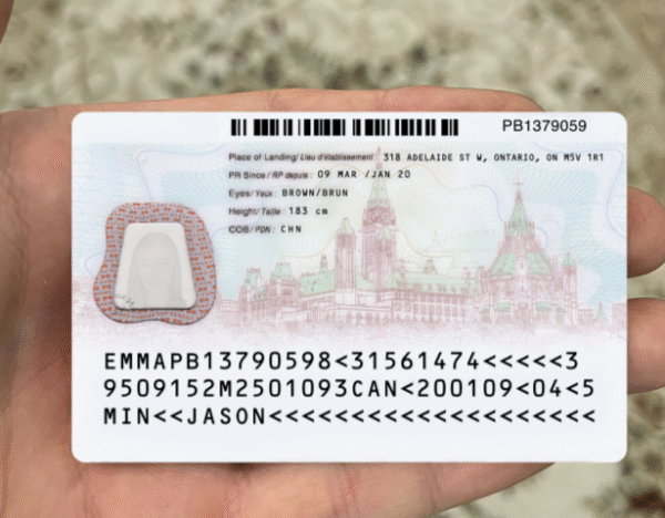 Canada PR Card PSD Template 2025 – Fully Editable & Instant Download - Image 3