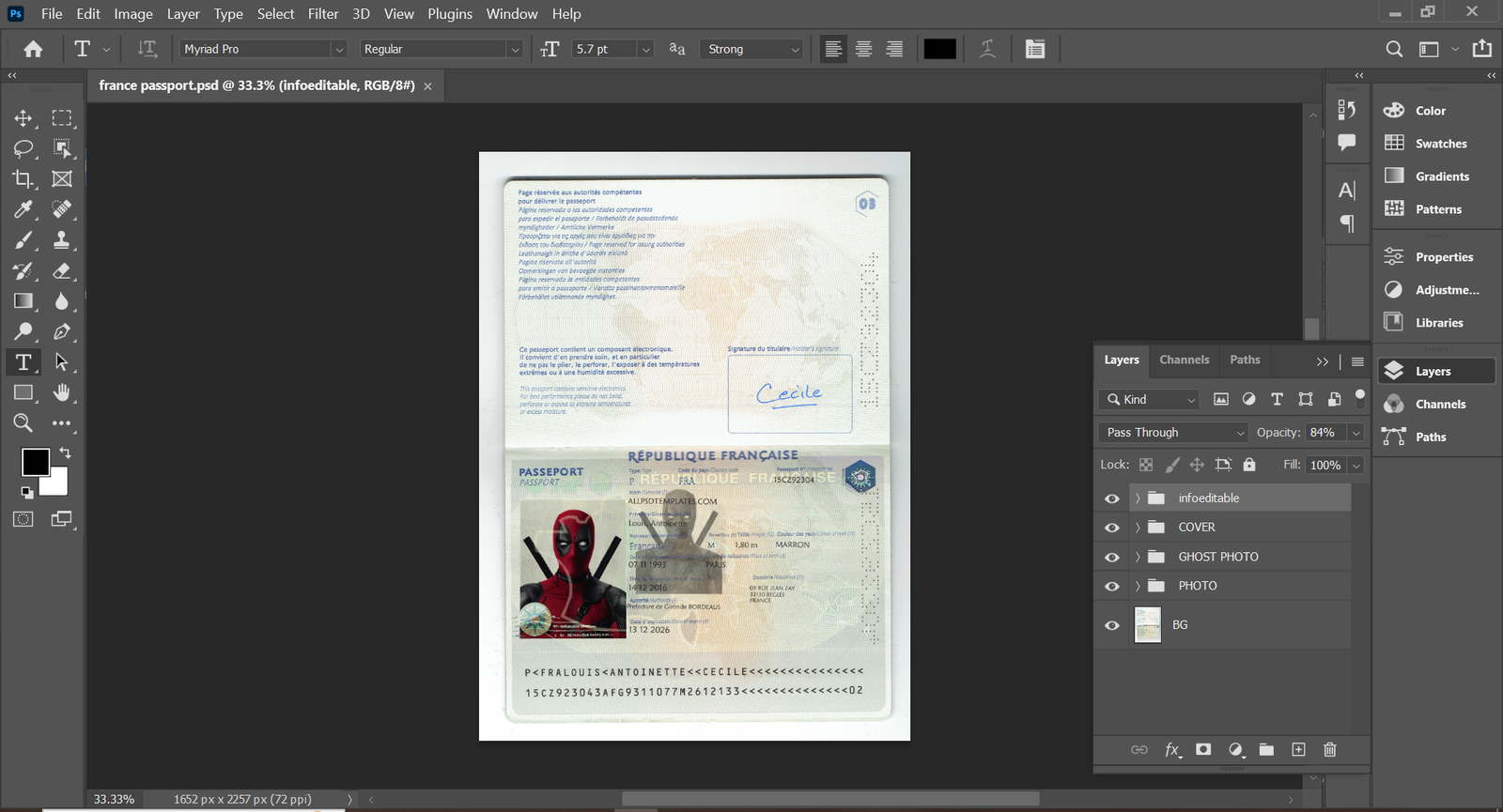 Preview of France Passport PSD Template 2025