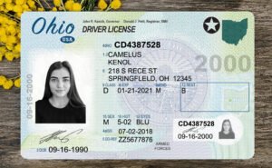 Ohio DL PSD Template 2025 – Editable & Instant Download
