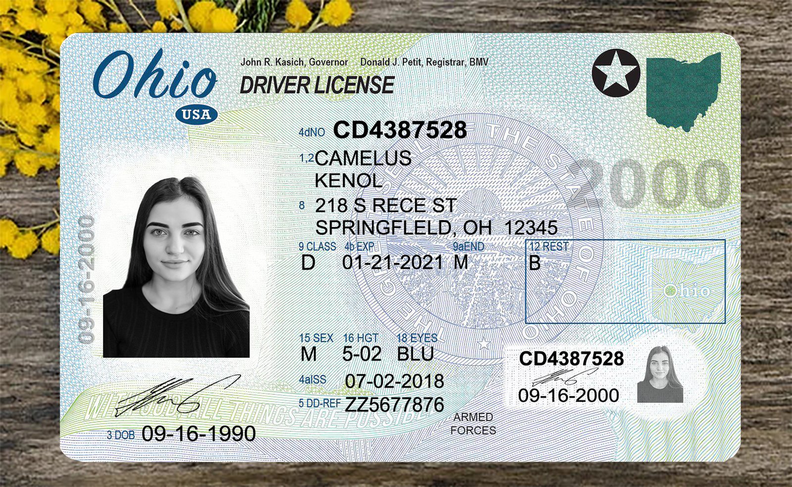 Ohio DL PSD Template 2025 – Editable & Instant Download