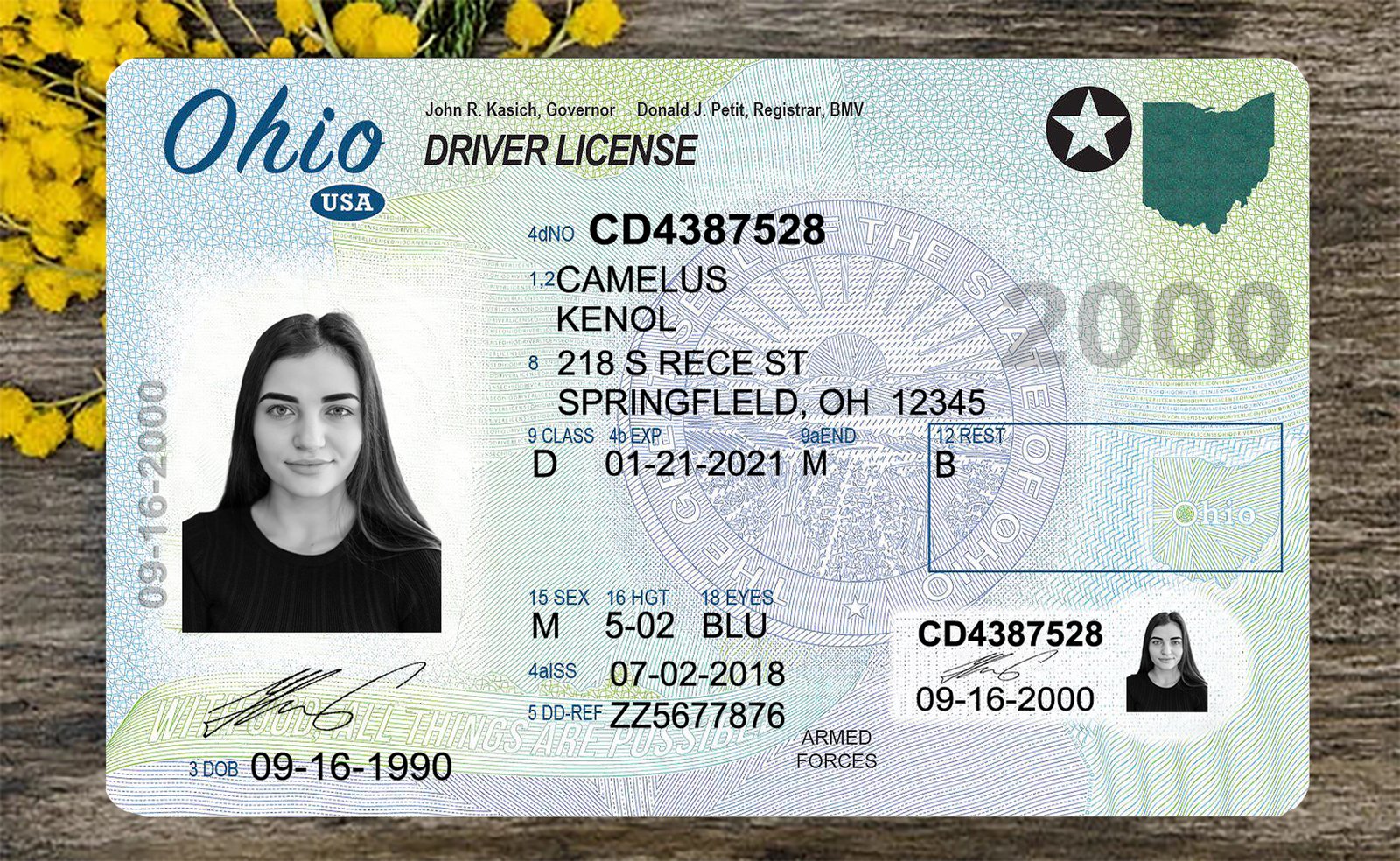 Ohio DL PSD Template 2025 – Editable & Instant Download - Image 2
