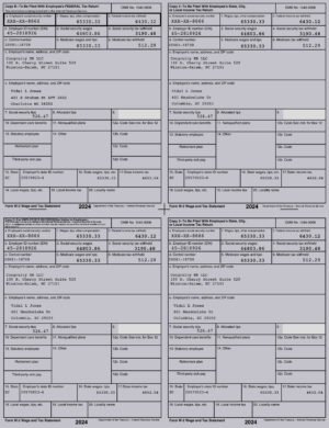 Editable W-2 PDF – Fillable 2025  Adobe Acrobat Form