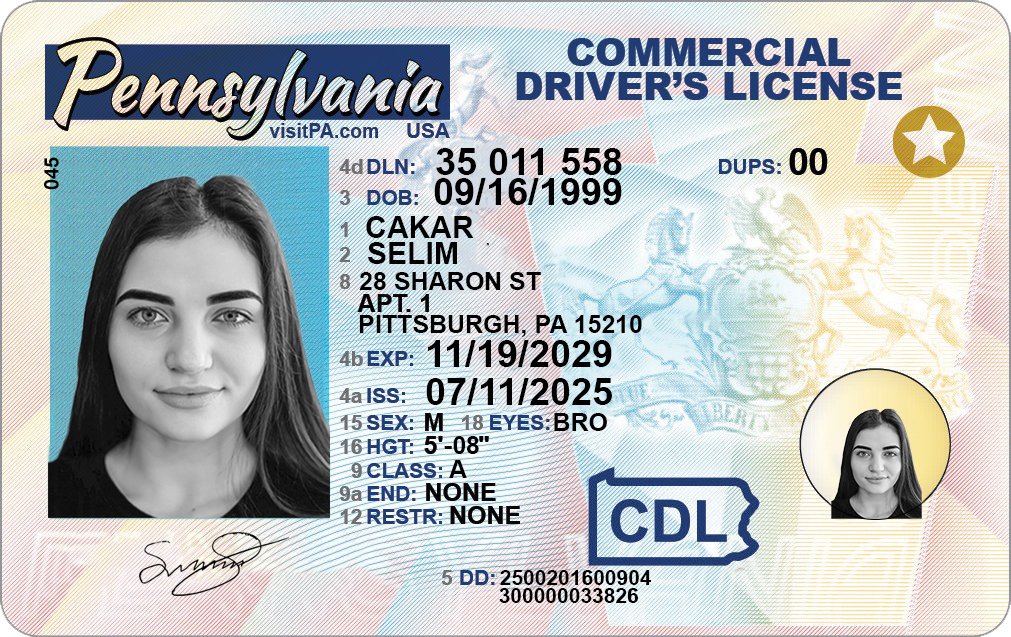 Pennsylvania Commercial DL PSD Template Preview