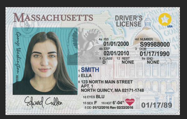 Massachusetts DL PSD Template – Instant Download & Editable - Image 3