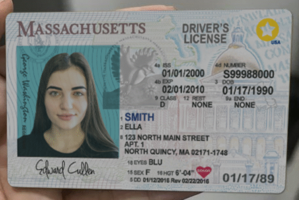 Massachusetts DL PSD Template – Instant Download & Editable - Image 4