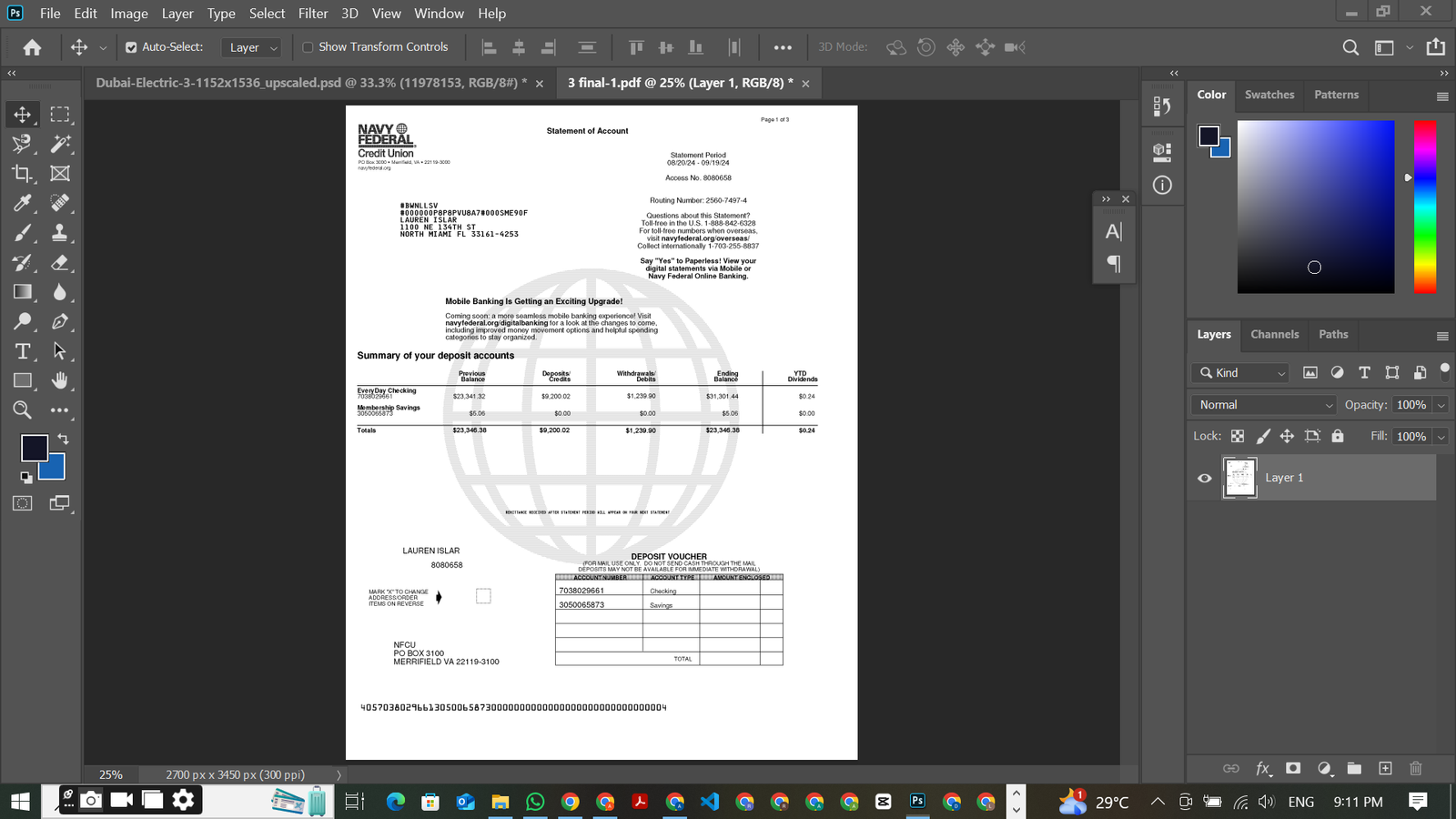 Navy Federal Bank Statement PDF Template Preview