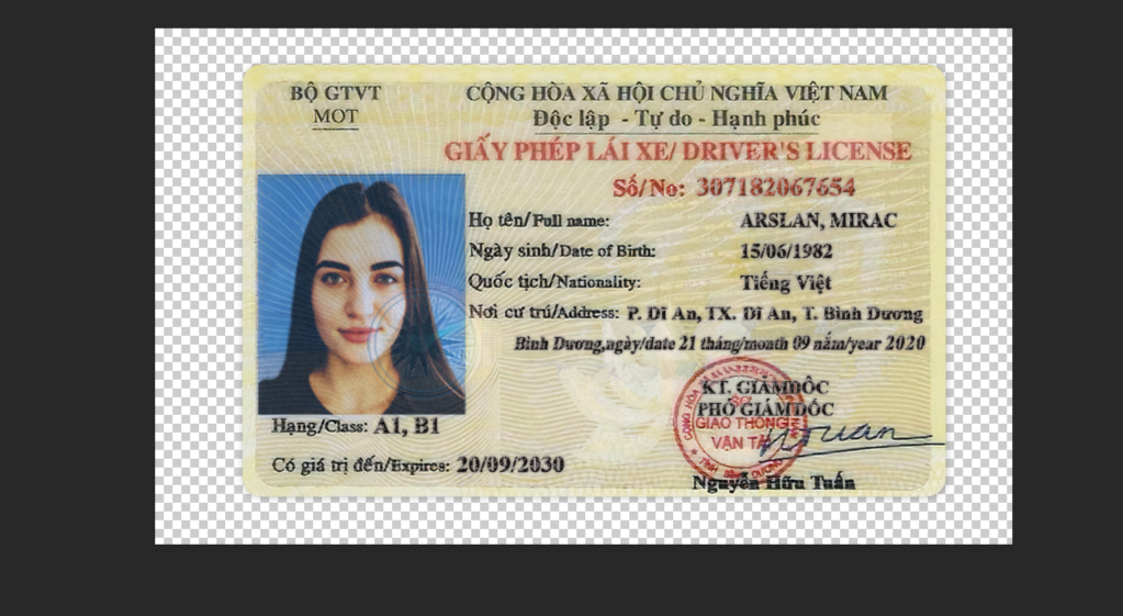 Vietnam Driving License PSD Template 2025 – Fully Editable & Instant Download - Image 5