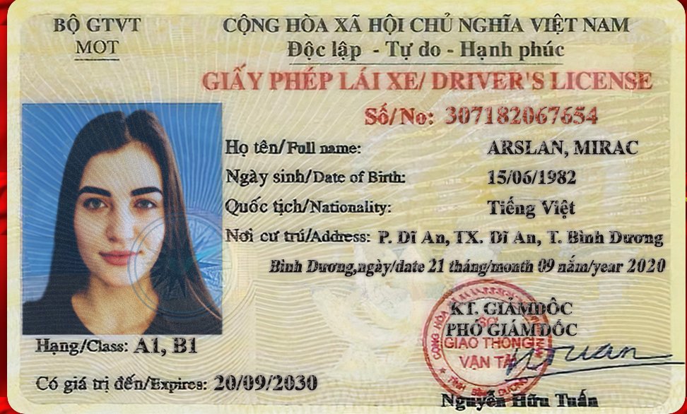 Vietnam Driving License PSD Template 2025 – Fully Editable & Instant Download - Image 4
