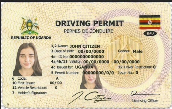 Uganda Driver’s License PSD Template 2025 – Fully Editable & Instant Download - Image 5