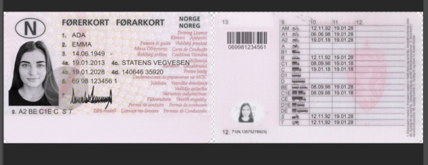 Norway Driver License PSD Template - Editable, High-Quality Design - Image 2