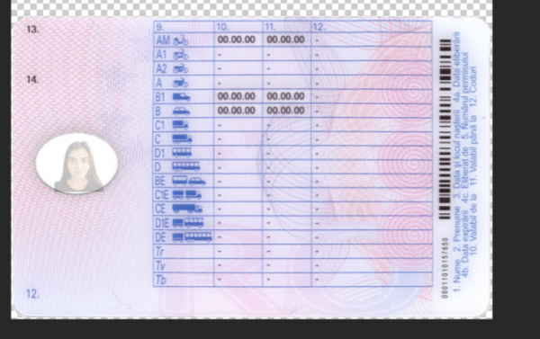 Romania Driving Licence V2 PSD Template - Editable, High-Quality Design - Image 4