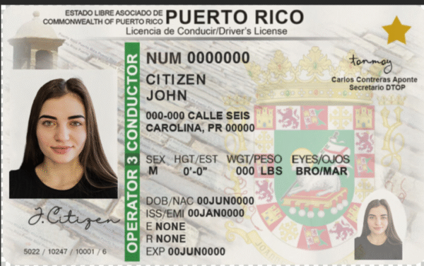 Puerto Rico Driver's License  V2 PSD Template - Editable, High-Quality Design - Image 4