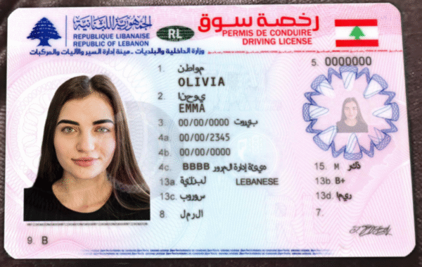 Lebanon Driver's License V2 PSD Template - Editable, High-Quality Design - Image 5