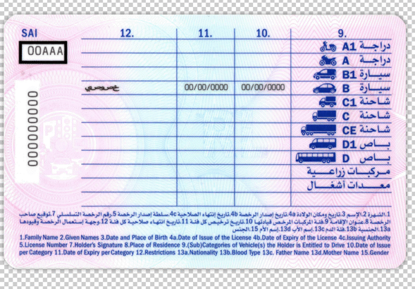 Lebanon Driver's License V2 PSD Template - Editable, High-Quality Design - Image 4