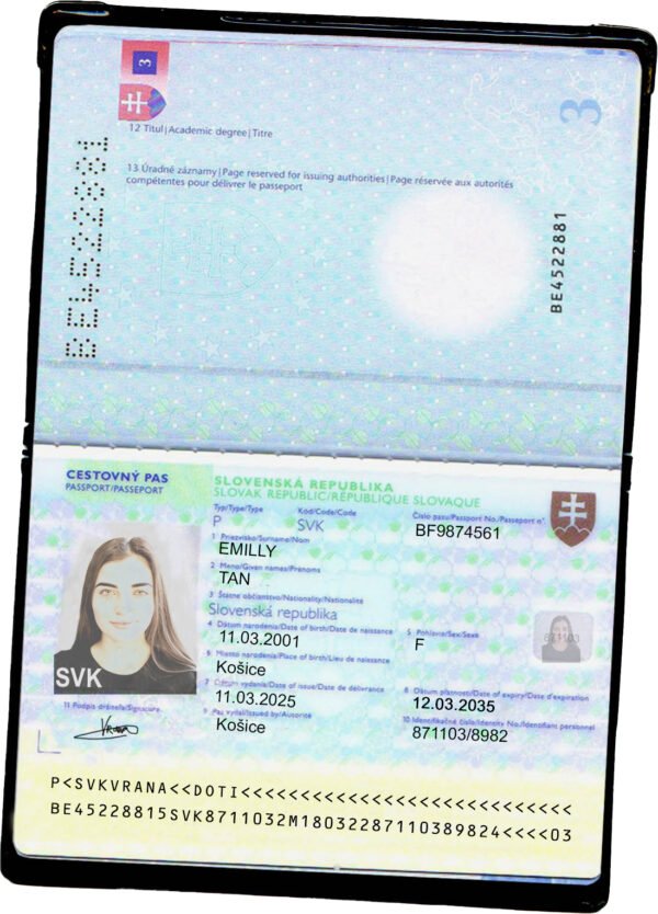 Slovakia V2 Passport PSD Template - Editable, High-Quality Design - Image 2