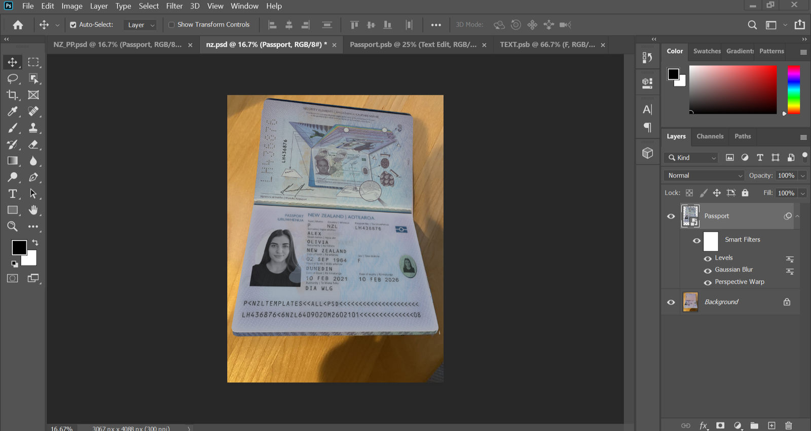 New Zealand Passport PSD Template Preview