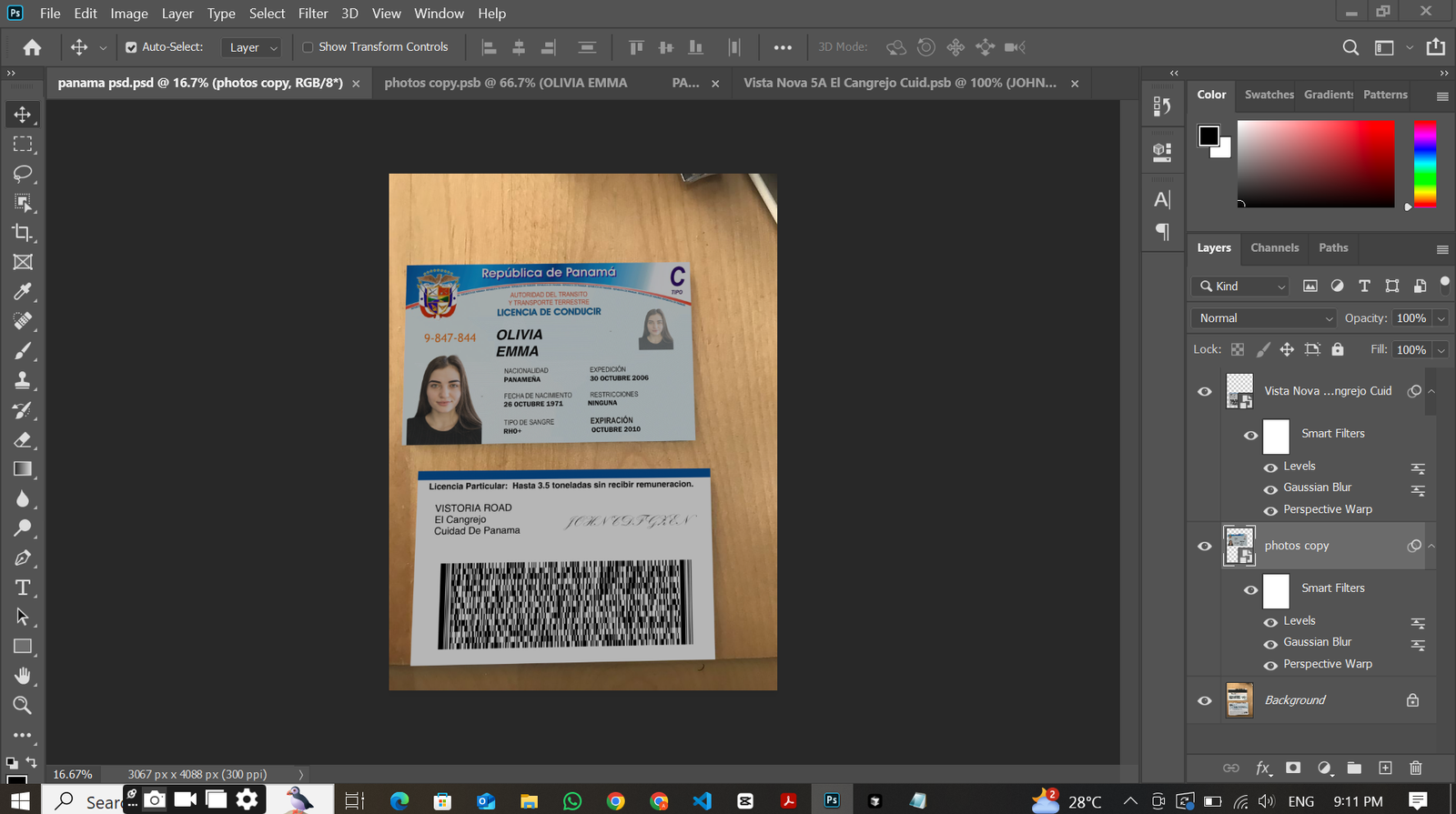 Panama Driver's License PSD Template Preview