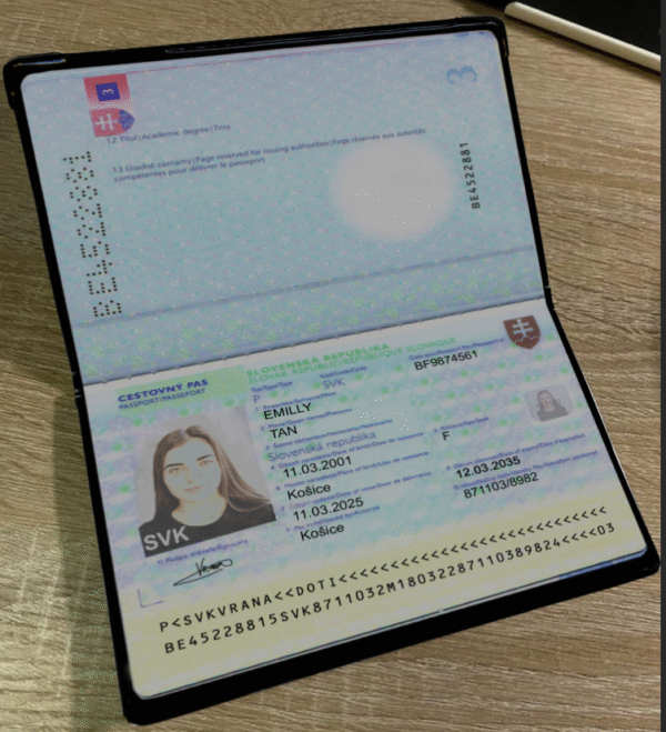 Slovakia V2 Passport PSD Template - Editable, High-Quality Design - Image 3