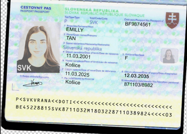 Slovakia V2 Passport PSD Template - Editable, High-Quality Design - Image 5