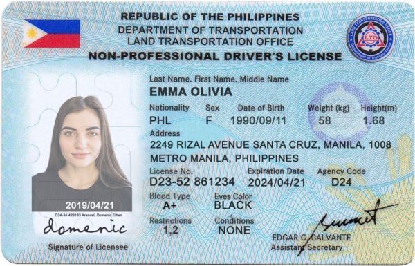 Philippines Driver's License V2 PSD Template - Editable, High-Quality Design - Image 6