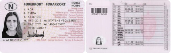 Norway Driver License PSD Template - Editable, High-Quality Design - Image 5