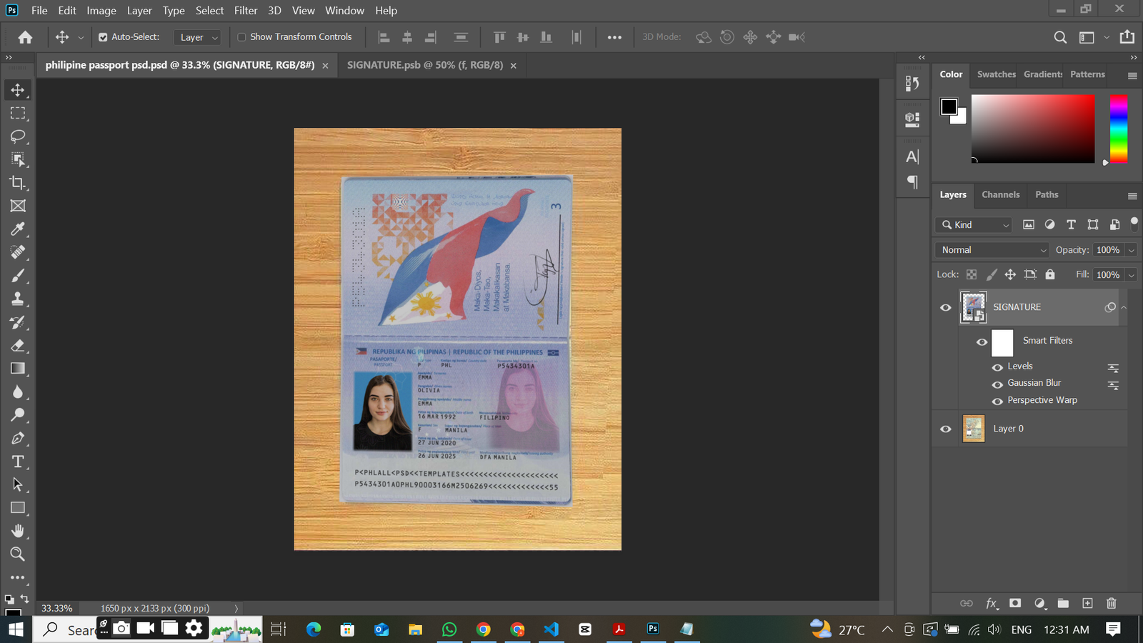 Philippines Passport PSD Template Preview